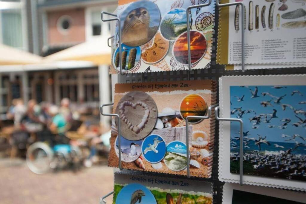 Gastenverblijf Janssen In Schagen Kültér fotó