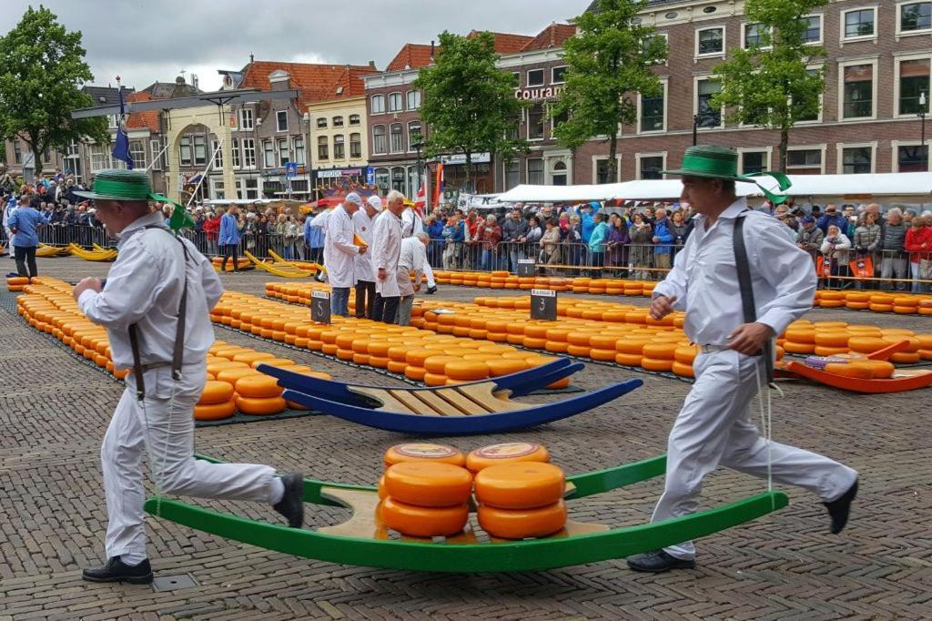 Gastenverblijf Janssen In Schagen Kültér fotó